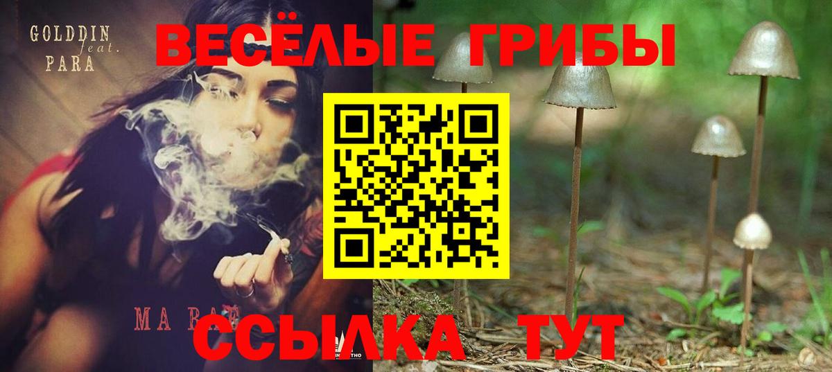Галлюциногенные грибы мухоморы Котельники